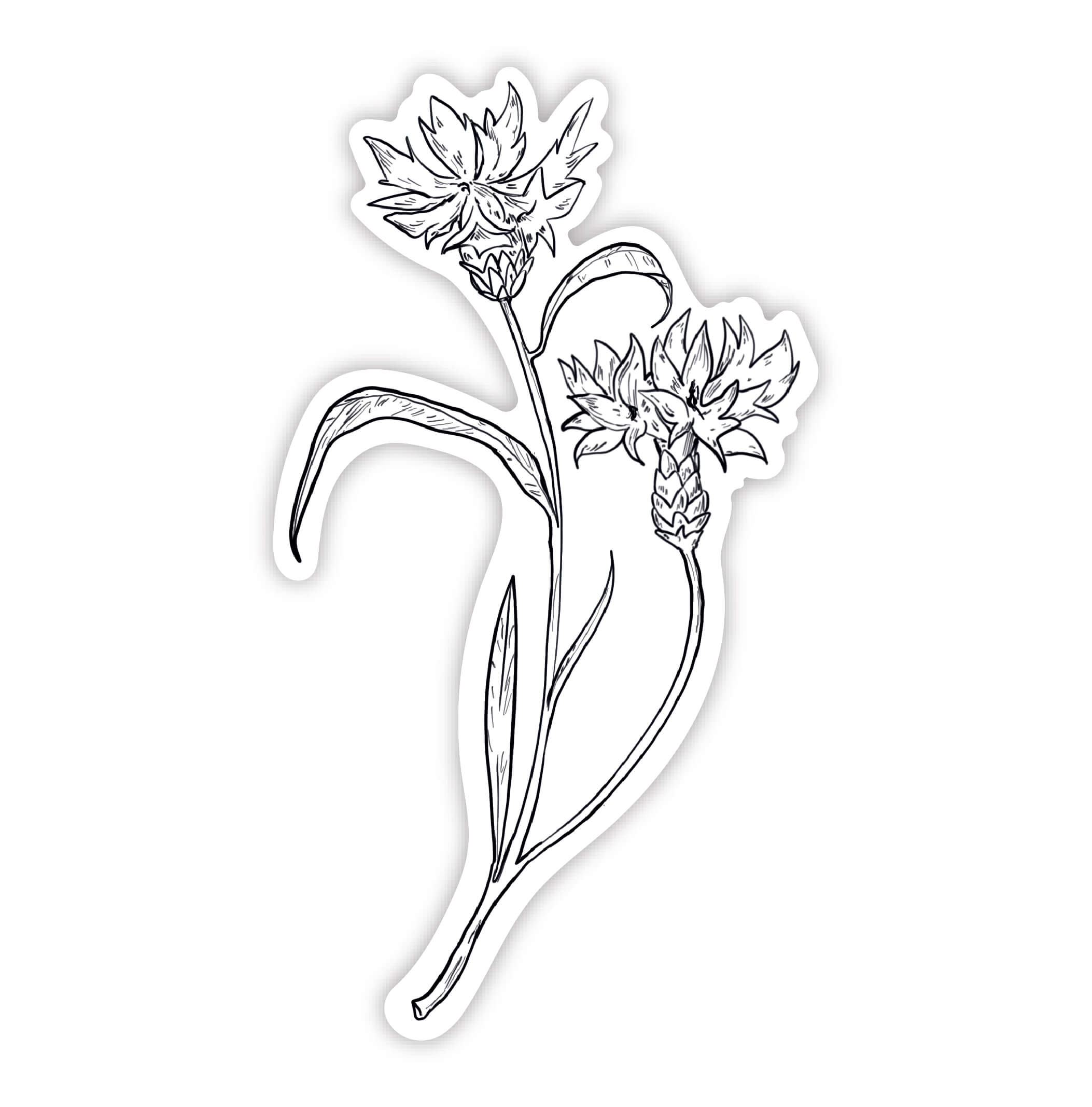 Kornblomst i sort og hvid klistermærke